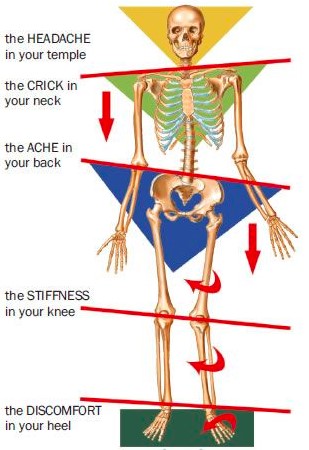 Orofaciale fysiotherapie